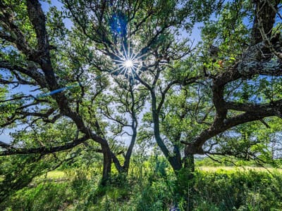 Property photo 5 at 613 Cattle Creek RD - The Preserve at Walnut Springs, Johnson City, TX