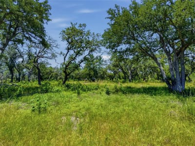 Primary bedroom at 623 Whiskey TRL - Old 32 Ranch, Blanco, TX