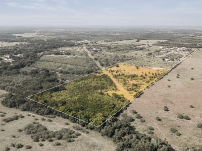 Property photo 4 at 625 Callihan RD - Bugtussle, Luling, TX
