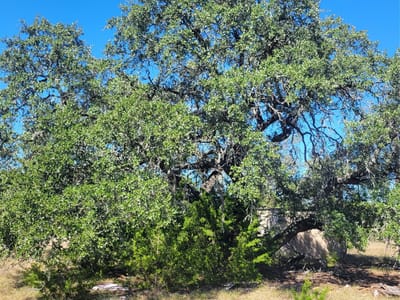 Photo 3 of 8 at 628 Bonita DR - Blanco, Blanco, TX