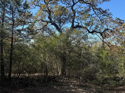 Property photo 5 at 628 Leisure LN - Bluebonnet Acres Sec 1, Cedar Creek, TX