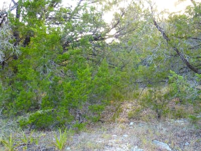 Property photo 4 at 6302 Deer Run - Lago Vista Sec 02, Lago Vista, TX