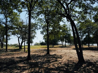 Property photo 3 at 640 County Road 475 - IRON MOUNTAIN FARMS, Luling, TX