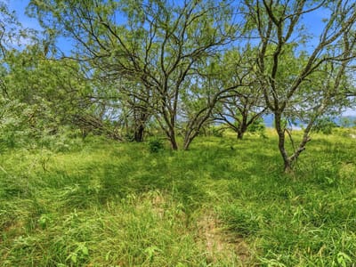 Photo 2 of 32 at 6407 Taylorsville RD - Dale, Dale, TX