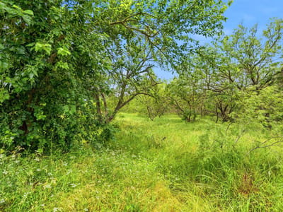 Photo 5 of 32 at 6407 Taylorsville RD - Dale, Dale, TX