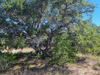 Photo 2 of 8 at 648 Bonita DR - Blanco, Blanco, TX