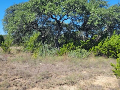 Photo 5 of 8 at 648 Bonita DR - Blanco, Blanco, TX