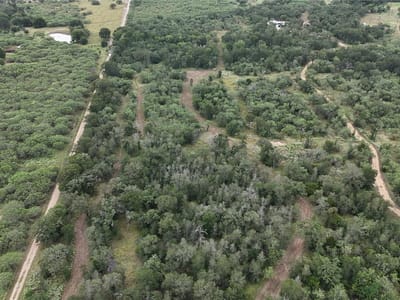 Property photo 2 at 650 Coastal Lane - N/A, Luling, TX