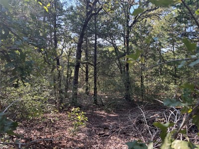 Property photo 3 at 667 Paint Creek South RD - Culling, Aaron, Paige, TX