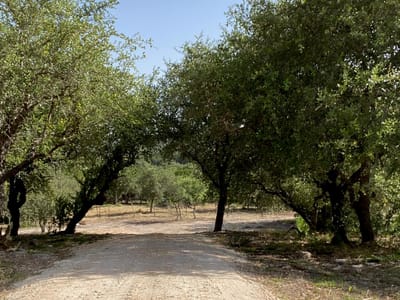 Property photo 2 at 6709 Singleton Bend RD Unit #4 - n/a, Marble Falls, TX
