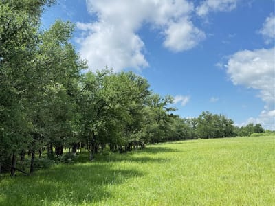 Living area at 674 County Road 309 - A0070 Chambers, T.J., Rockdale, TX