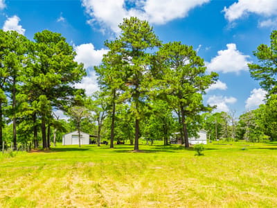 Property photo 2 at 677 Old Antioch Rd - N/A, Smithville, TX
