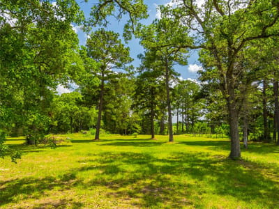Property photo 3 at 677 Old Antioch Rd - N/A, Smithville, TX