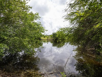 Property photo 4 at 6868 Pfeil RD - Schertz, Schertz, TX