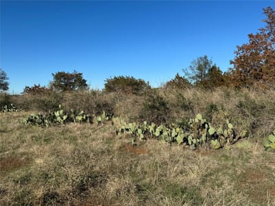 Primary bedroom at 6939 FM 690 - Burnet, TX