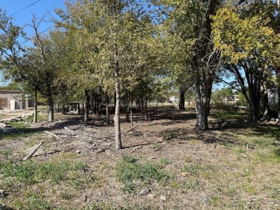Primary bedroom at 699 S Cotrell ST - Arb Bartlett, Bartlett, TX