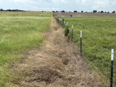 Kitchen at 700 County Road 330 - McKinney & Williams Survey, 16 Acres, Granger, TX