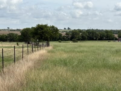 Primary bedroom at 700 County Road 330 - McKinney & Williams Survey, 16 Acres, Granger, TX
