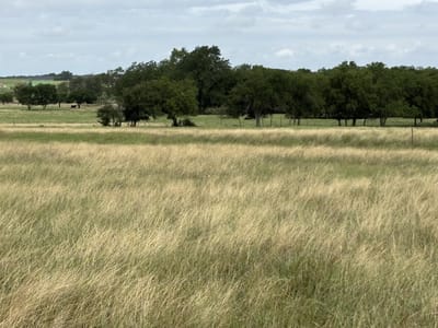Bathroom at 700 County Road 330 - McKinney & Williams Survey, 16 Acres, Granger, TX