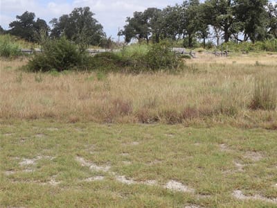 Property photo 4 at 701 Rawhide LN - San Augustin, Florence, TX