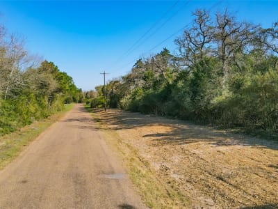 Primary bedroom at 7121 County Road 378 - Cedar Creek Ranches, Caldwell, TX