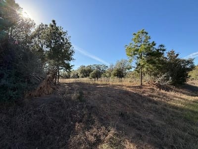 Living area at 7179 FM 141 - A022, Dime Box, TX