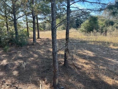 Kitchen at 7179 FM 141 - A022, Dime Box, TX