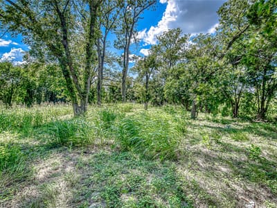 Primary bedroom at 722 S Lbj DR - Dan Mckie II, San Marcos, TX
