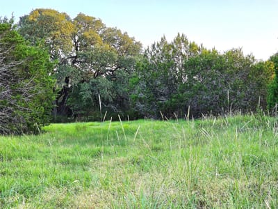 Living area at 728 Cr 206 - none, Lampasas, TX