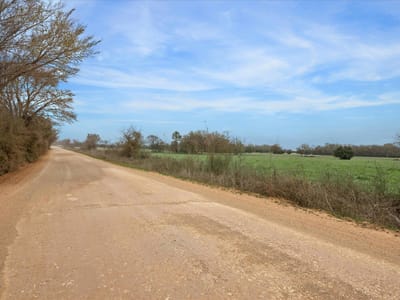 Primary bedroom at 7281 County Road 358 Rd - A0530, Gause, TX