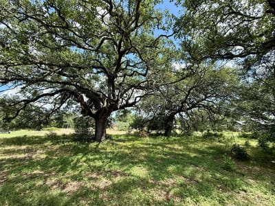Property photo 3 at 731 Santa Maria RD - none, Salado, TX