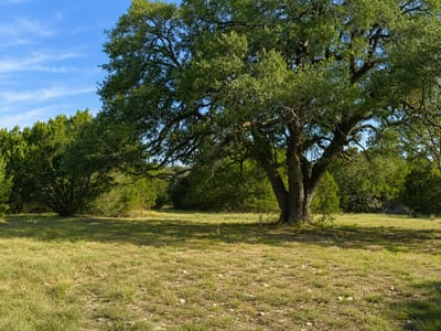 Property photo 3 at 736 Cr 206 - none, Lampasas, TX
