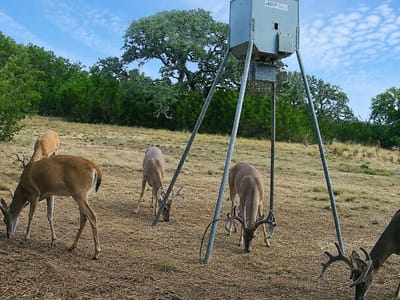 Property photo 5 at 736 Cr 206 - none, Lampasas, TX