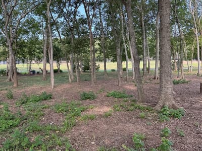 Primary bedroom at 736 E Riverside Dr - Tahitian Village, Bastrop, TX