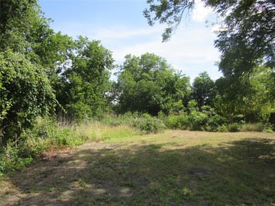 Primary bedroom at 748 W Elm ST - Arb Bartlett, Bartlett, TX
