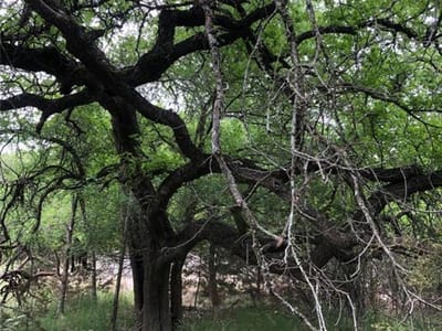 Living area at 75 E Valley Springs Rd - Woodcreek Sec 9-A, Wimberley, TX