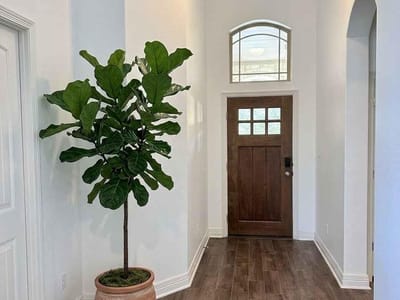 Property photo 4 at 756 Bonnet BLVD - 4 bed 3 bath home