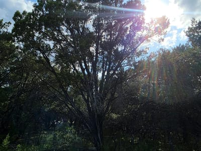 Photo 2 of 13 at 7623 Sagebrush TRL - Leander, Leander, TX