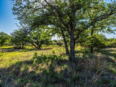 Property photo 5 at 7688 Hwy 261 - Fisher & Miller, Buchanan Dam, TX