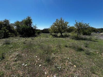 Primary bedroom at 799 Bell Springs Rd - Dripping Springs, TX