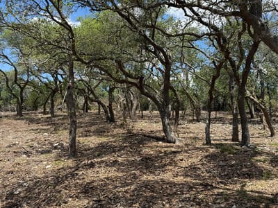 Property photo 2 at 8.36 Acres Altwein RD - None, Blanco, TX