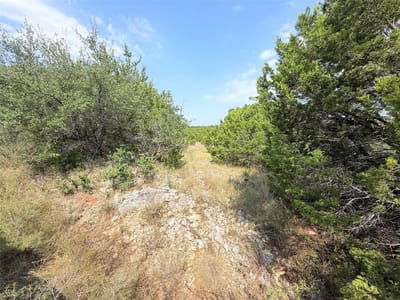 Property photo 4 at 8204 Chestnut CV - Bar-K Ranches 10, Lago Vista, TX