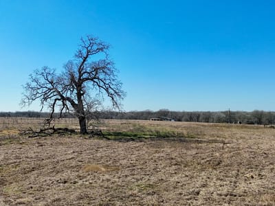 Primary bedroom at 8244 Old Colony Line Rd - OCLR Acres, Dale, TX