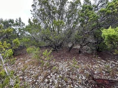 Primary bedroom at 8413 Angus Trl - Bar-K Ranches 16, Lago Vista, TX