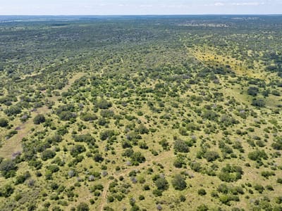 Photo 3 - 85 Acres Private Road 644 Photo 3 of 19 at 85 Acres Private Road 644 - Brady, Brady, TX