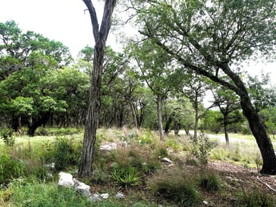 Kitchen at 850 Days End RD - Burnett Ranch Sec 3, Wimberley, TX