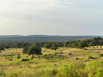 View with Hill Country views and expansive acreage at 8577 Ranch Road 2766 - 2 bed 1 bath home