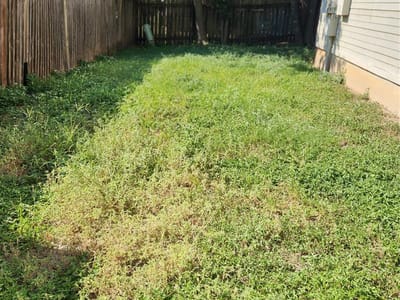 Property photo 4 at 8811 Clearbrook TRL - Springwoods Ii-A Rev 1981, Austin, TX