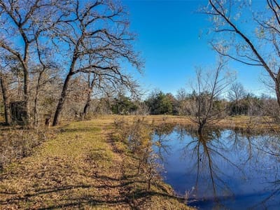 Living area at 9.74-ac Boyd RD - Sowell, John, Red Rock, TX