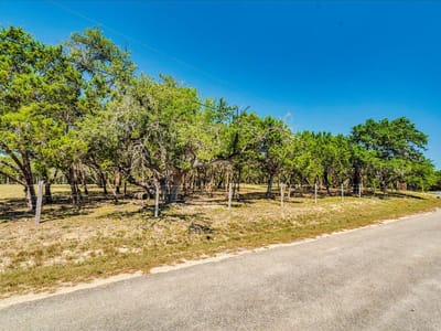 Primary bedroom at 901 Todo LN - Rolling Oaks Ranch Sec 4, Driftwood, TX